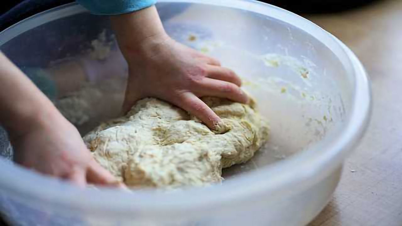 Yeast Model of Metabolic Disorders May Lead to Novel Therapies