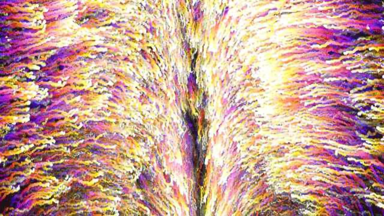 Embryonic Chick Study Reveals How Cells are Recruited to Form Hindgut