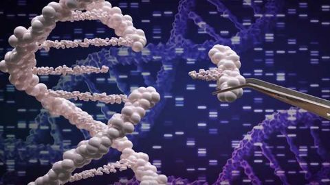 Analysing the pathophysiological role played by VEGFR2 and CXCR4