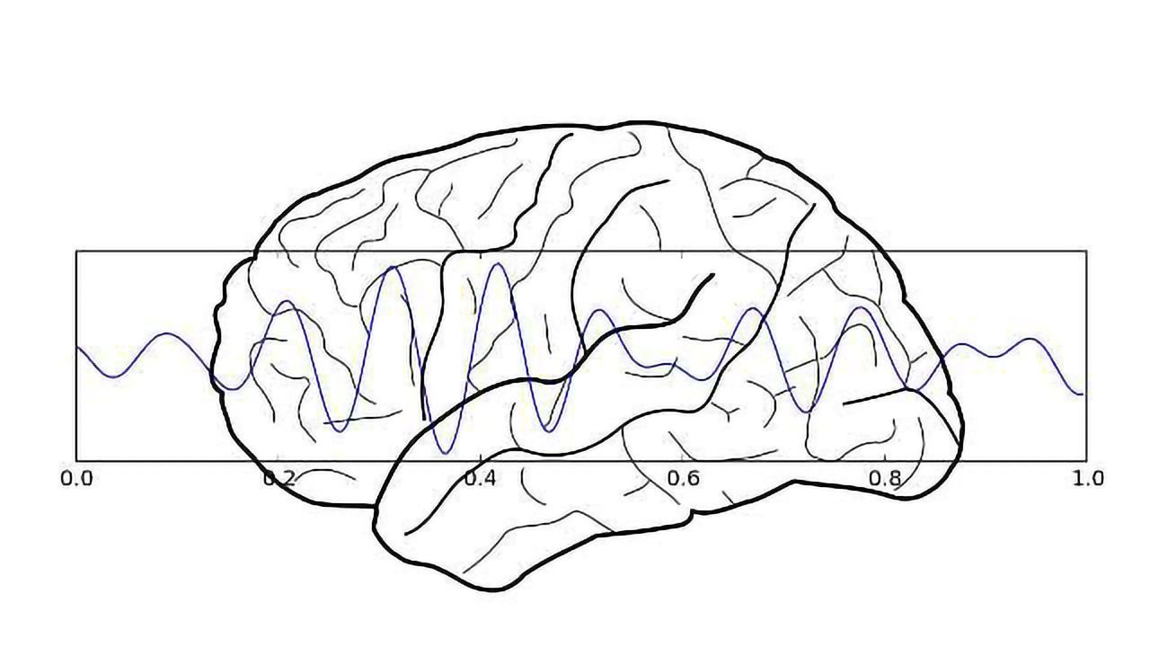 Study Suggests You Can Improve Your Learning Ability by Self-Modulating Your Neural Oscillations