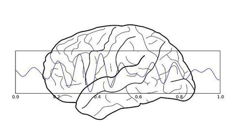 Study Suggests You Can Improve Your Learning Ability by Self-Modulating Your Neural Oscillations