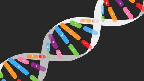 Synthetic Biology Rewrites the Rules of the Genome