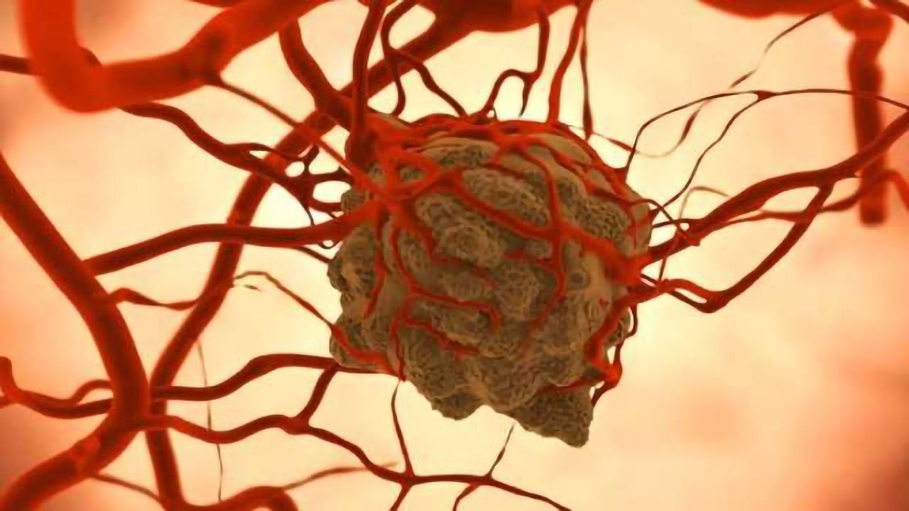 Targeted Photodynamic Therapy Stops Tumor Growth in 70% of Mice