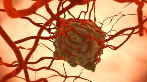 Targeted Photodynamic Therapy Stops Tumor Growth in 70% of Mice