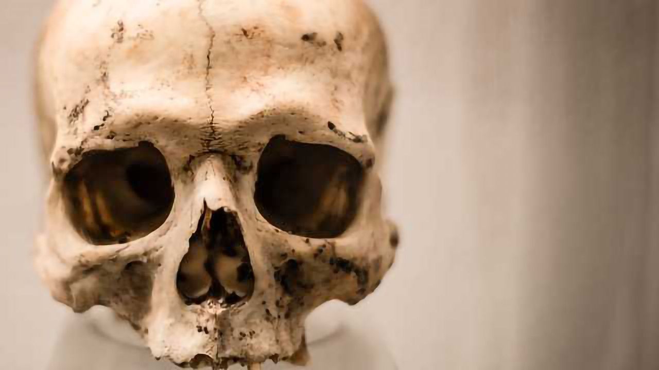 Significant Flaws in Forensics Software