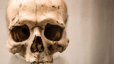 Significant Flaws in Forensics Software