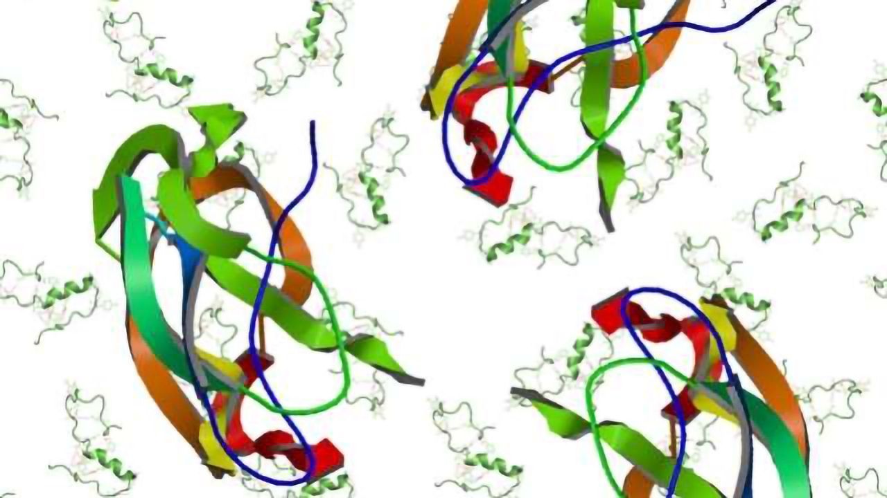 Disease Insights from Enhanced NMR