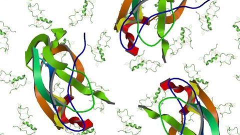 Disease Insights from Enhanced NMR