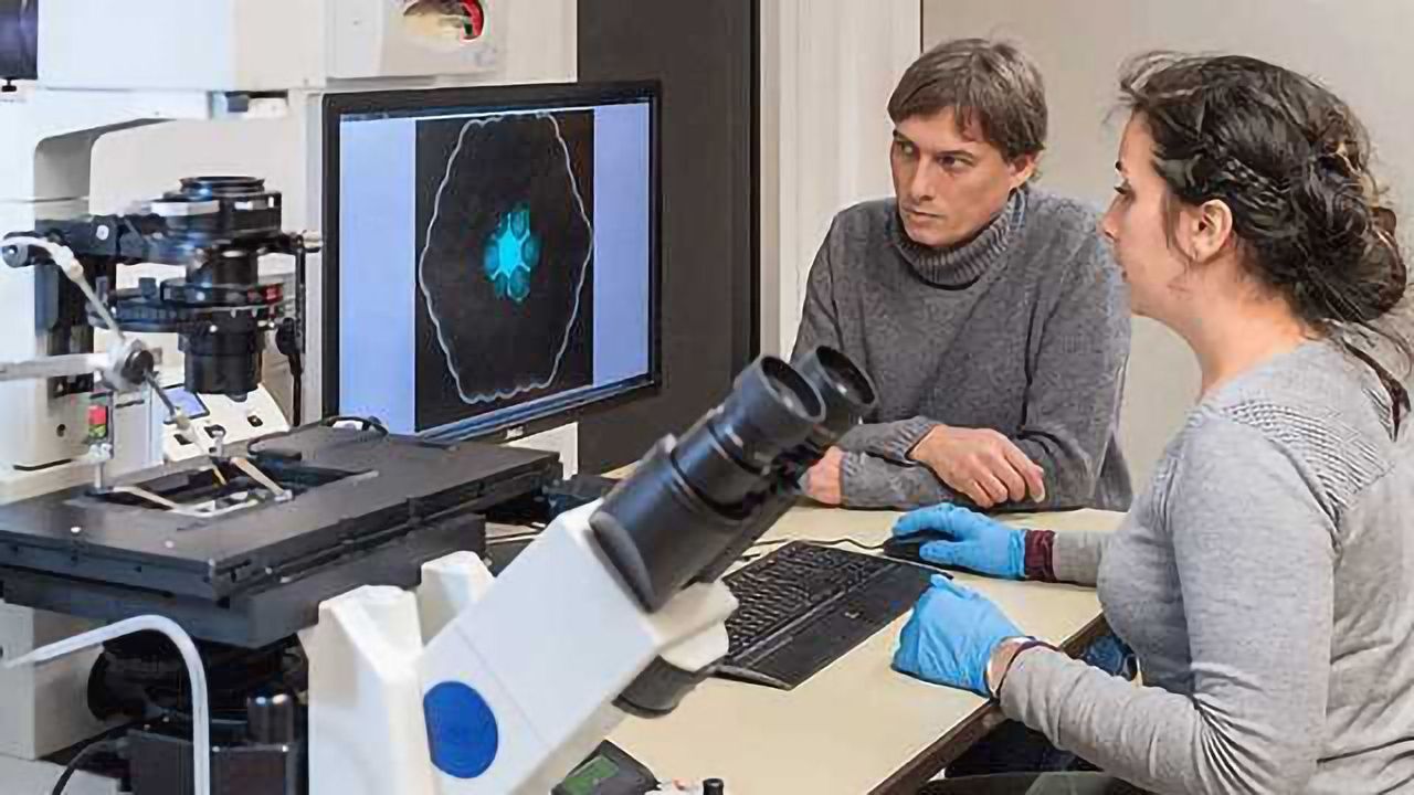 Artificially Produced Cells Communicate with Each Other
