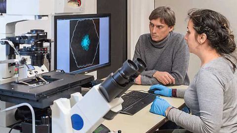 Artificially Produced Cells Communicate with Each Other