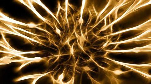 Gene Therapy Promotes Nerve Regeneration