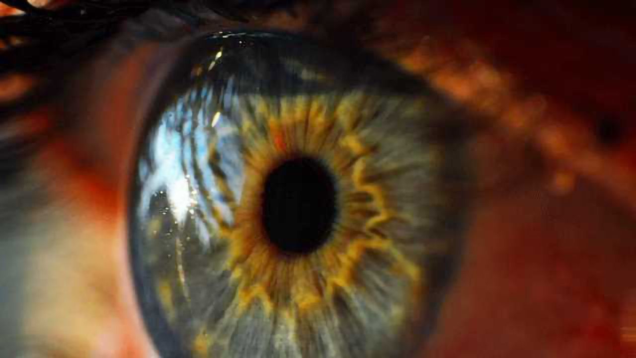 Cultivating 4D Tissues – the First Self-curving Cornea