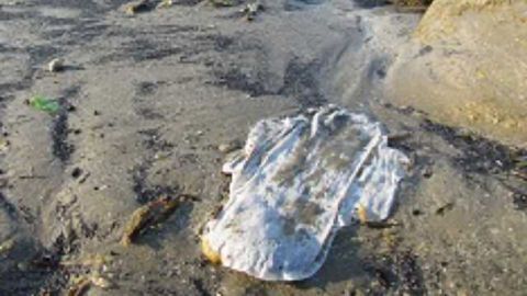 Poor Awareness of "Hidden" Plastics in Products