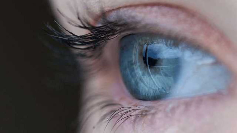 World-first 4D Self-forming Corneas content piece image