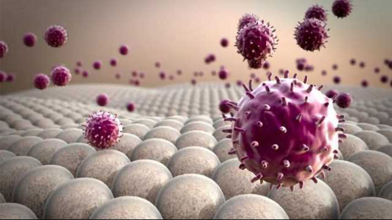 Energizing the Immune System to Eat Cancer