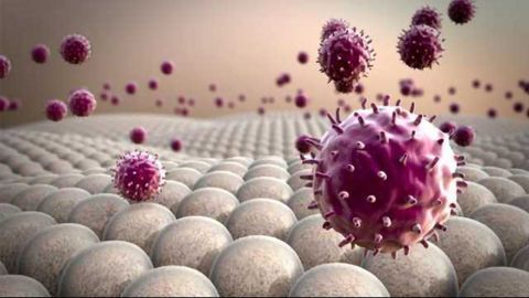 Energizing the Immune System to Eat Cancer