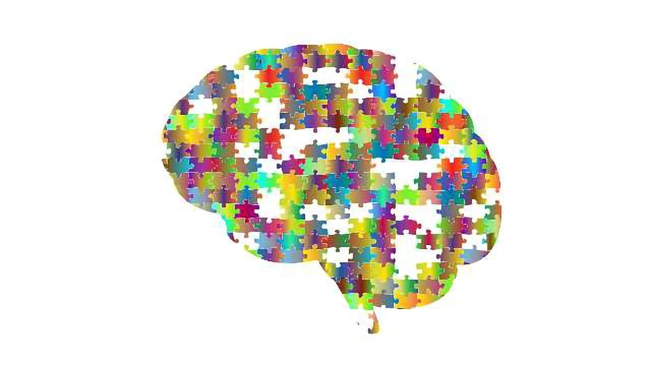 Mouse Studies Question "Inhibition" Theory of Autism