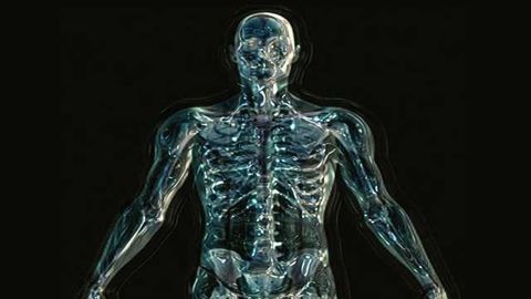 New Role for Microvessels in Spinal Cord Injury