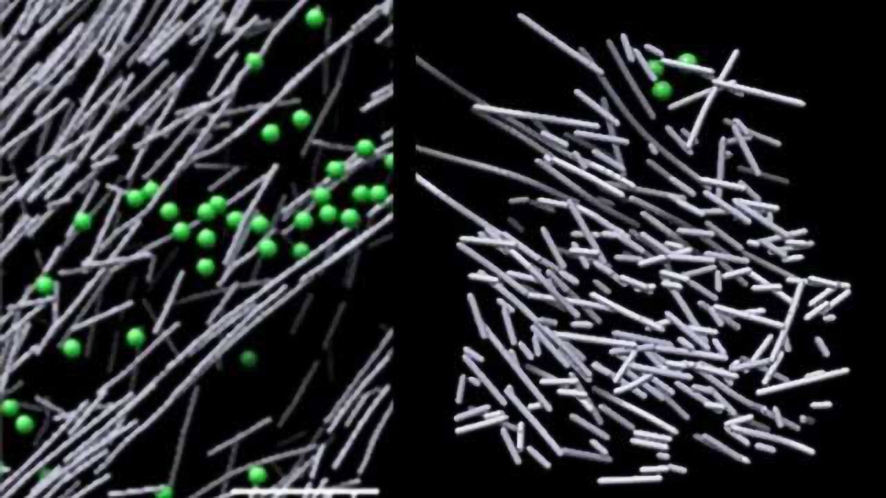 Powerful Microscope Reveals Motility Nanoscaffold
