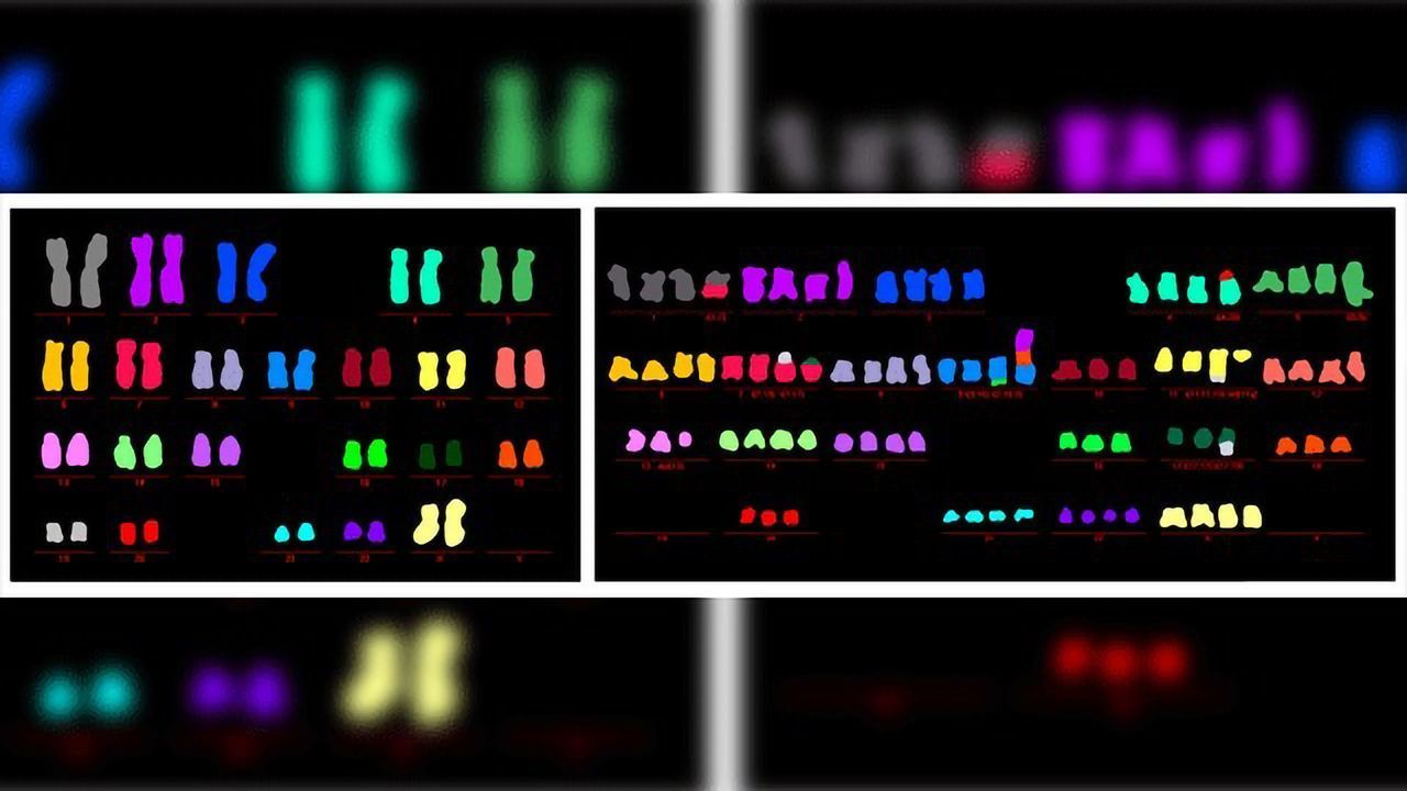 Process Thought to Fuel Cancer Growth Can Actually Prevent It