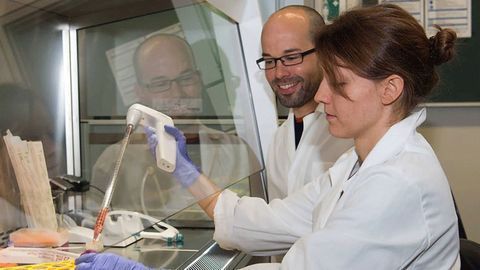 Vocabulary of Immune Cells Extended by Protein Engineering