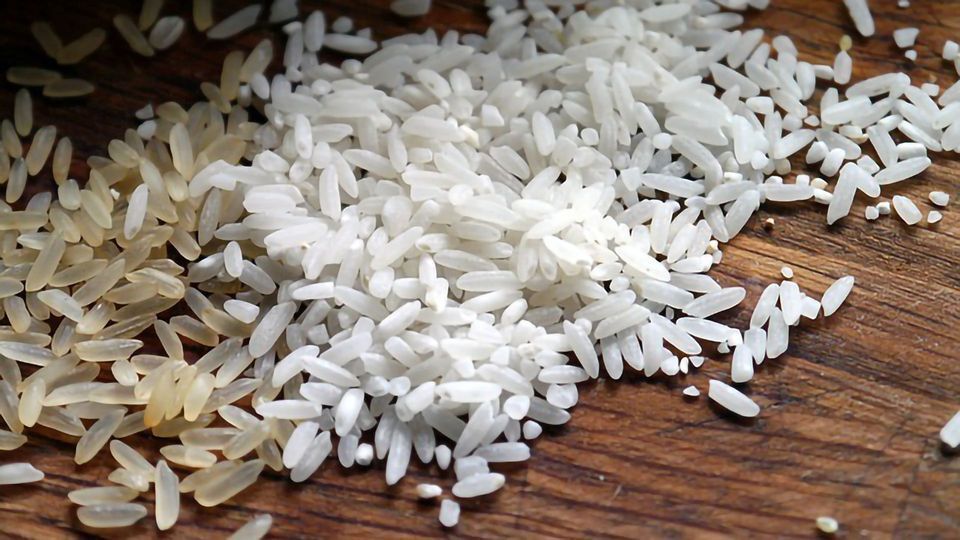 Highprotein Rice Without Compromise Technology Networks