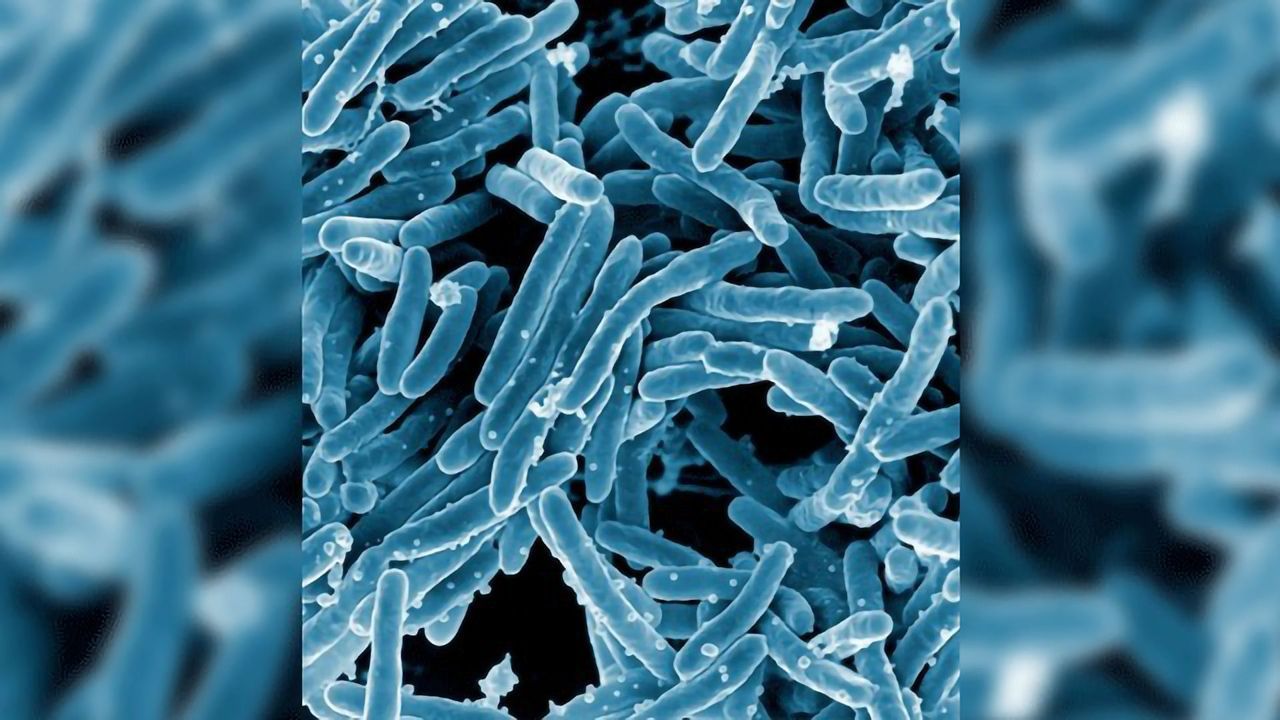 Temperature-stable Tuberculosis Vaccine Enters Clinical Testing