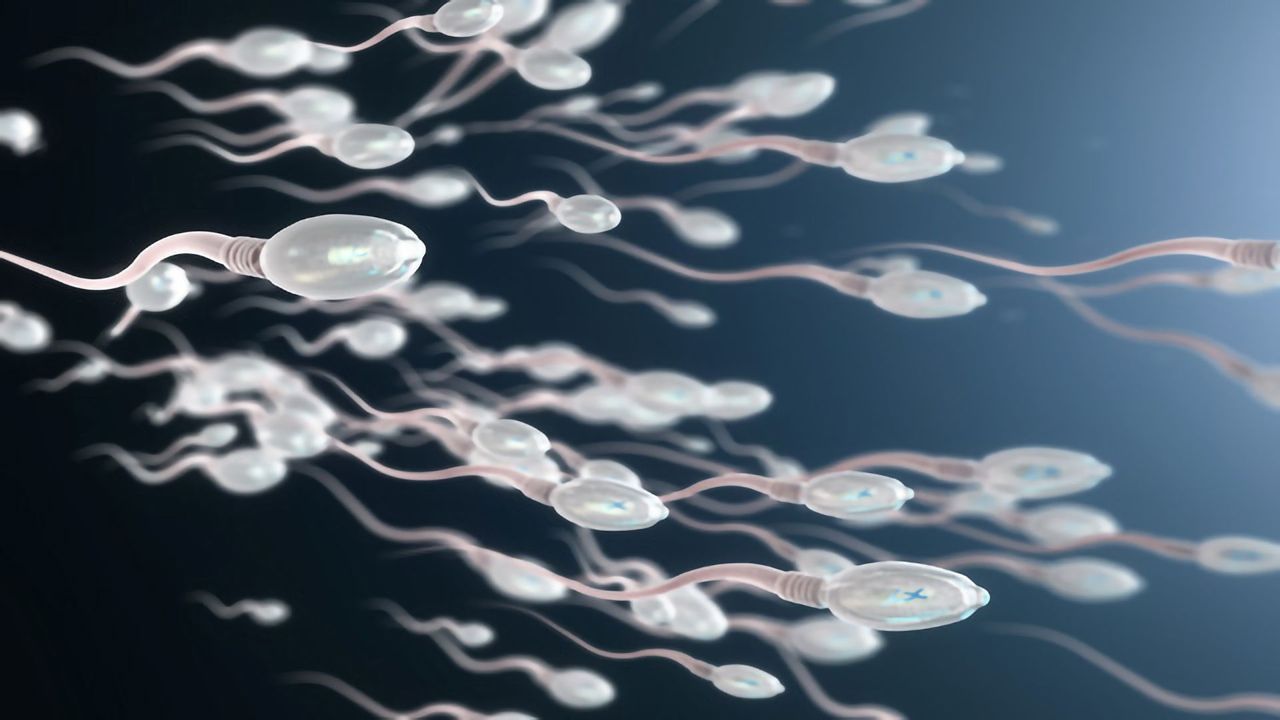10-year Study Provides Breakthrough in Understanding Male Infertility