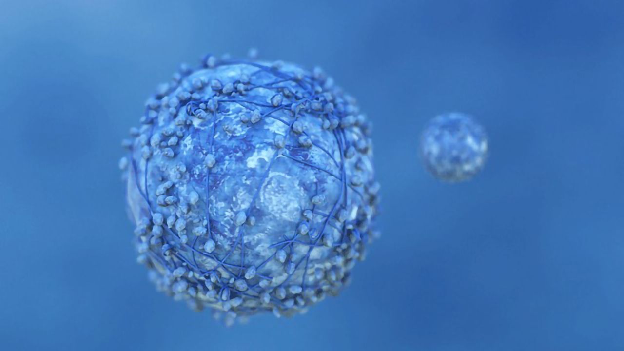 Recent Advances in Liquid Biopsy for Cancer