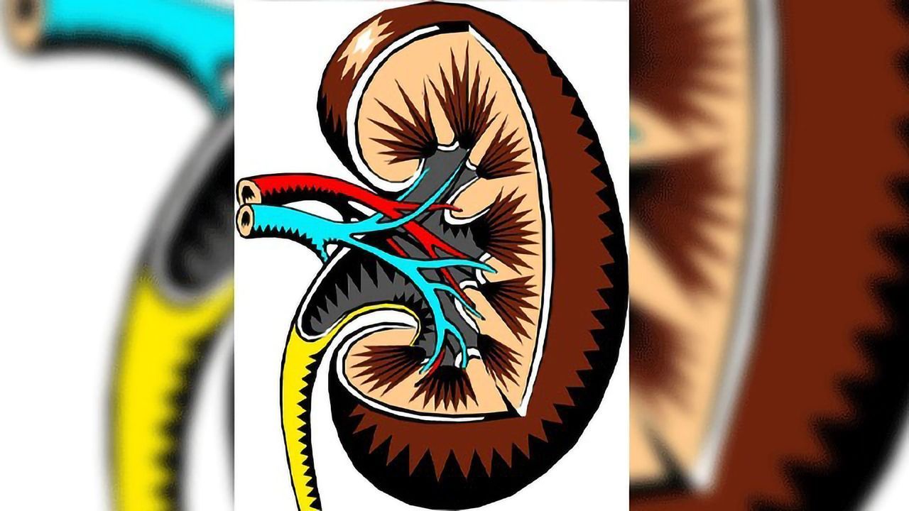 Kidney Injury Healing Powers for Resident Macrophages?