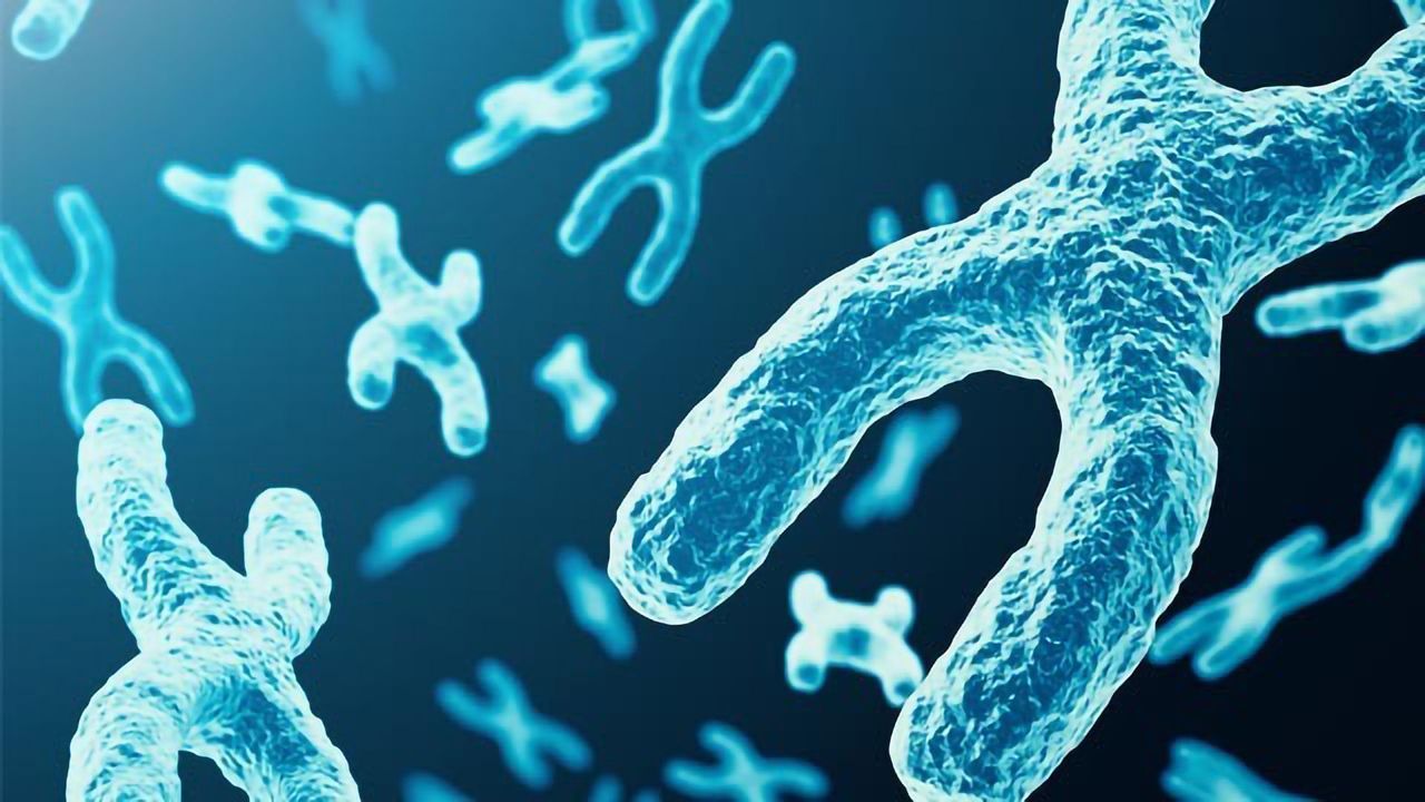 Keeping Chromosomes in Check: New Role for Heterochromatin