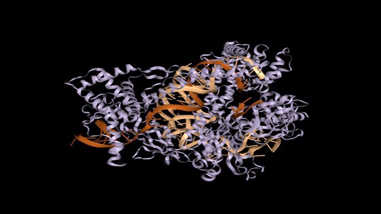 Cas12b: A Competitor for Cas9?