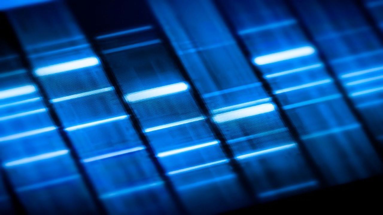 Exploring the Dark Side of the Genome
