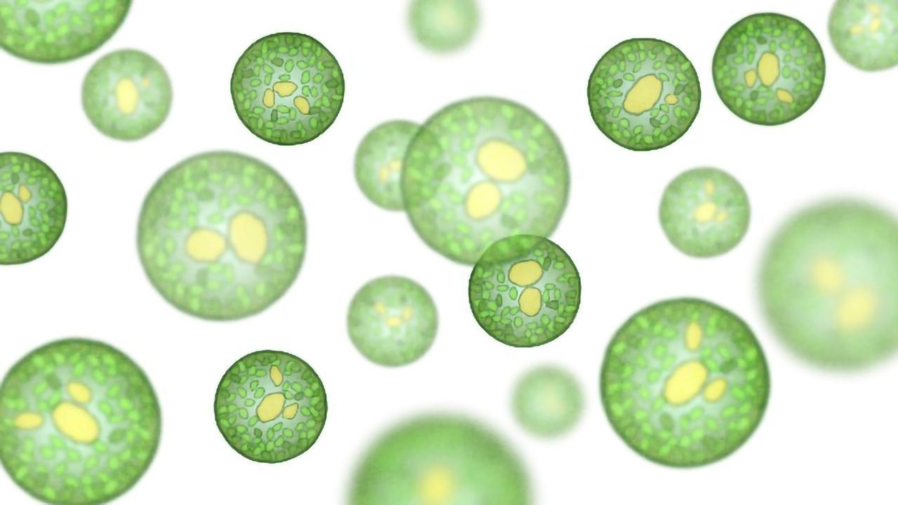 AI Helps Keep Single-Cell Analysis in Check