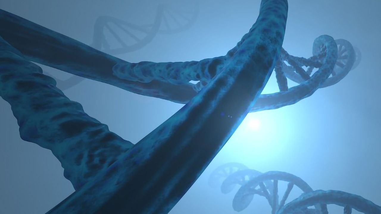 Copy Number Variants Contribute to Risk of 'Schizophrenia-Like' Bipolar Disorder Subtype