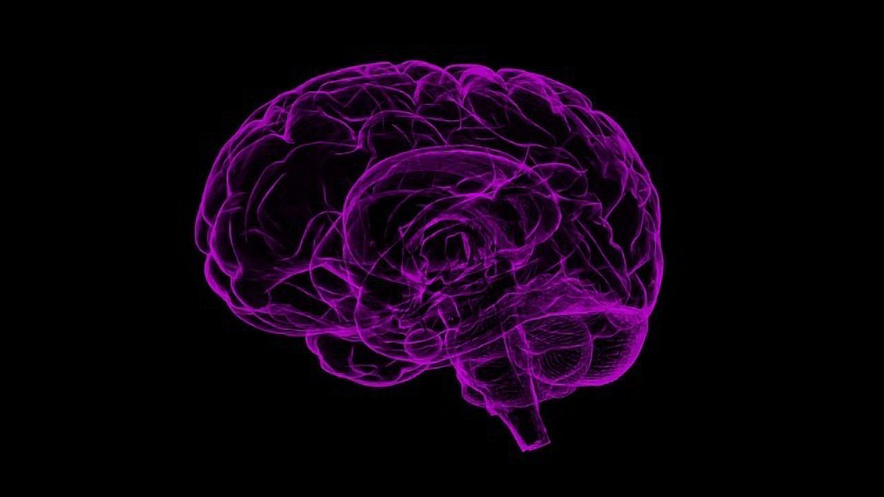 Sleep Deprivation Accelerates Alzheimer's Brain Damage in Mice