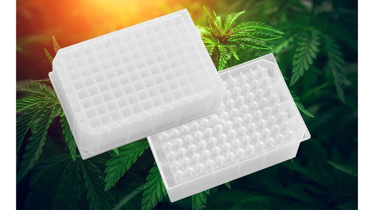 Preparing Samples of Cannabis Plant for THC/CBD Analysis