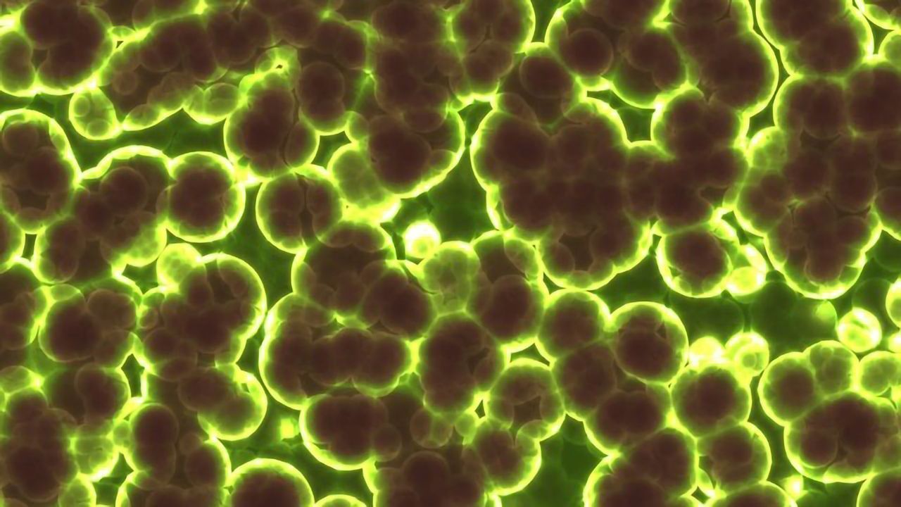 UK and China Show Solidarity in Fight Against Antimicrobial Resistance