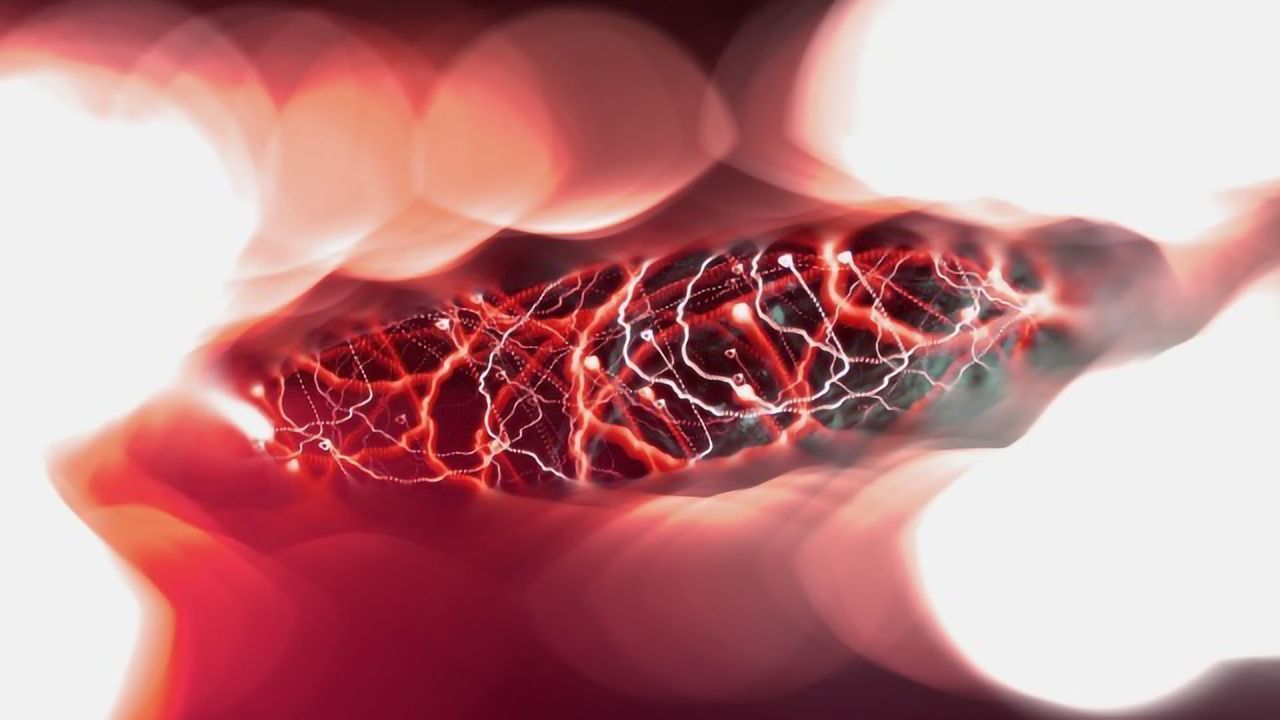 Researchers Uncover Brain Pathway Linked to Impulsive Behaviours