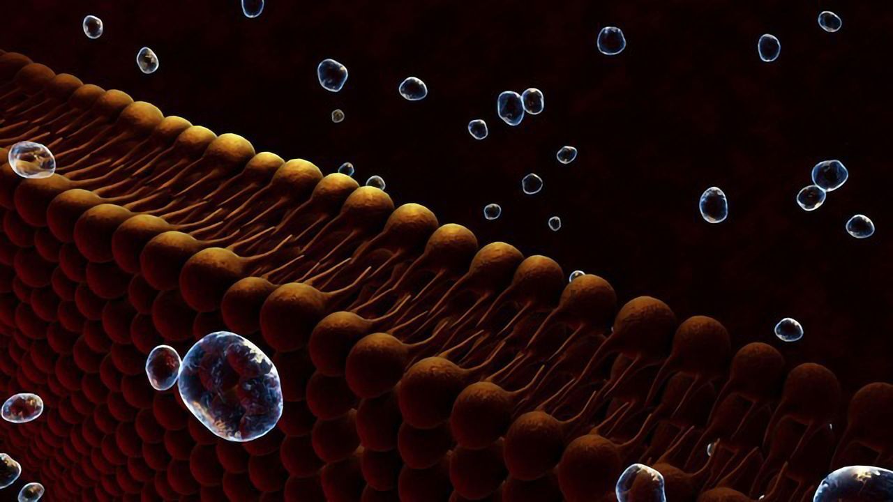 An Integrative Approach to Studying Lipid Biology