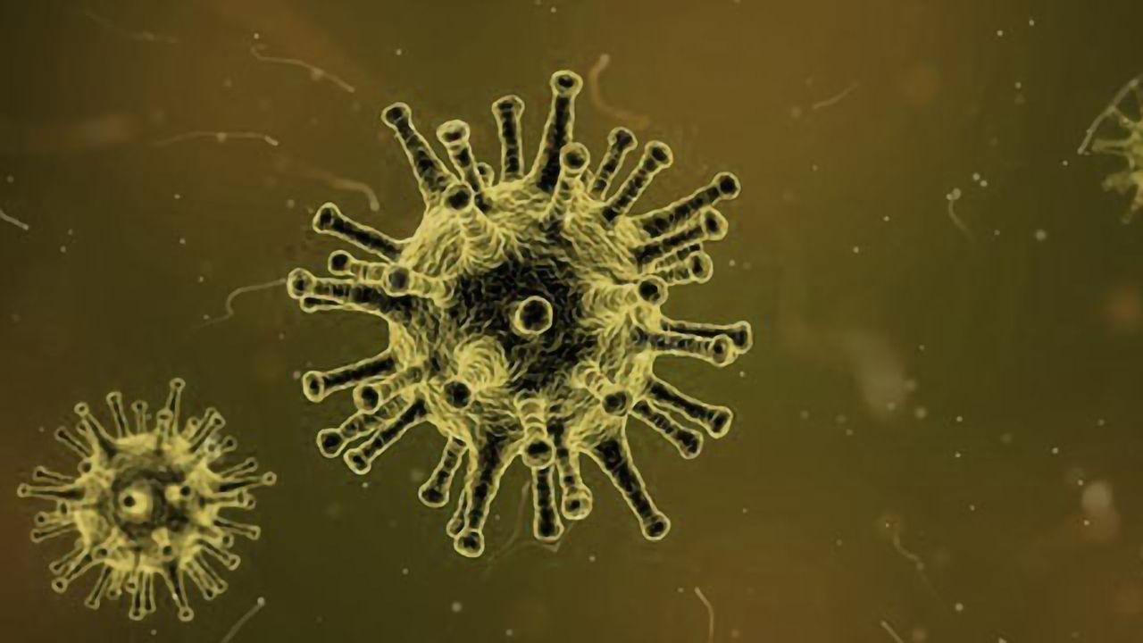 Injecting Genetically Modified Virus into Tumor May Treat Metastatic Melanoma