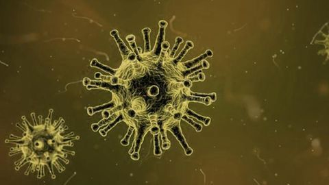 Injecting Genetically Modified Virus into Tumor May Treat Metastatic Melanoma