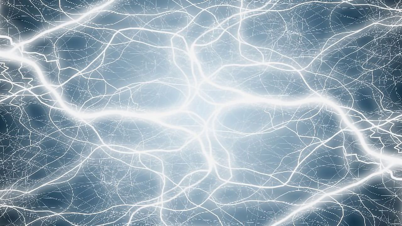 When It Comes to Brain Connectivity, Cell Location Matters Most