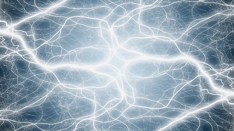 When It Comes to Brain Connectivity, Cell Location Matters Most