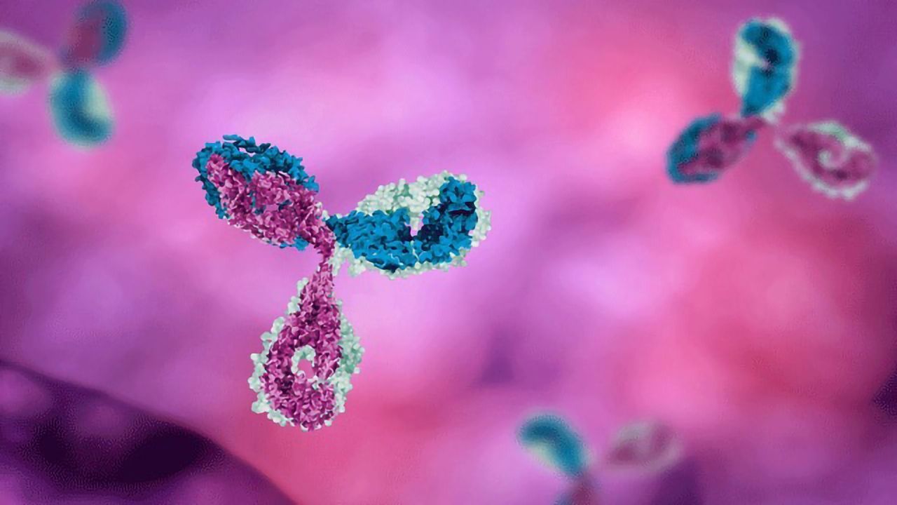 Antibody Cascade Design Key to Customizing Success