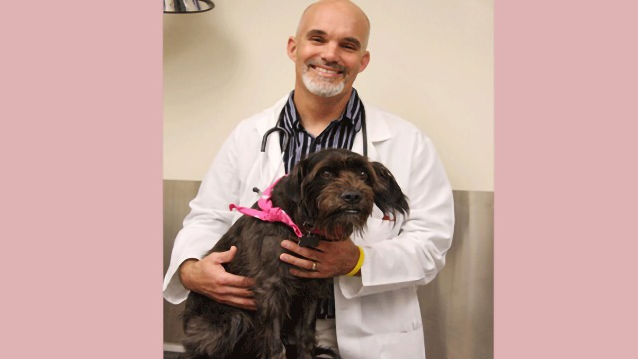 A Pioneering Precision Medicine Cancer Vaccine for Canines