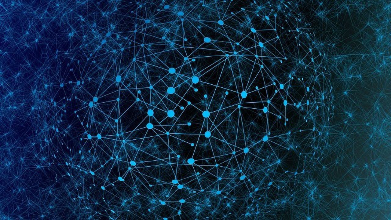 Creating a Blueprint for Cortical Connectivity