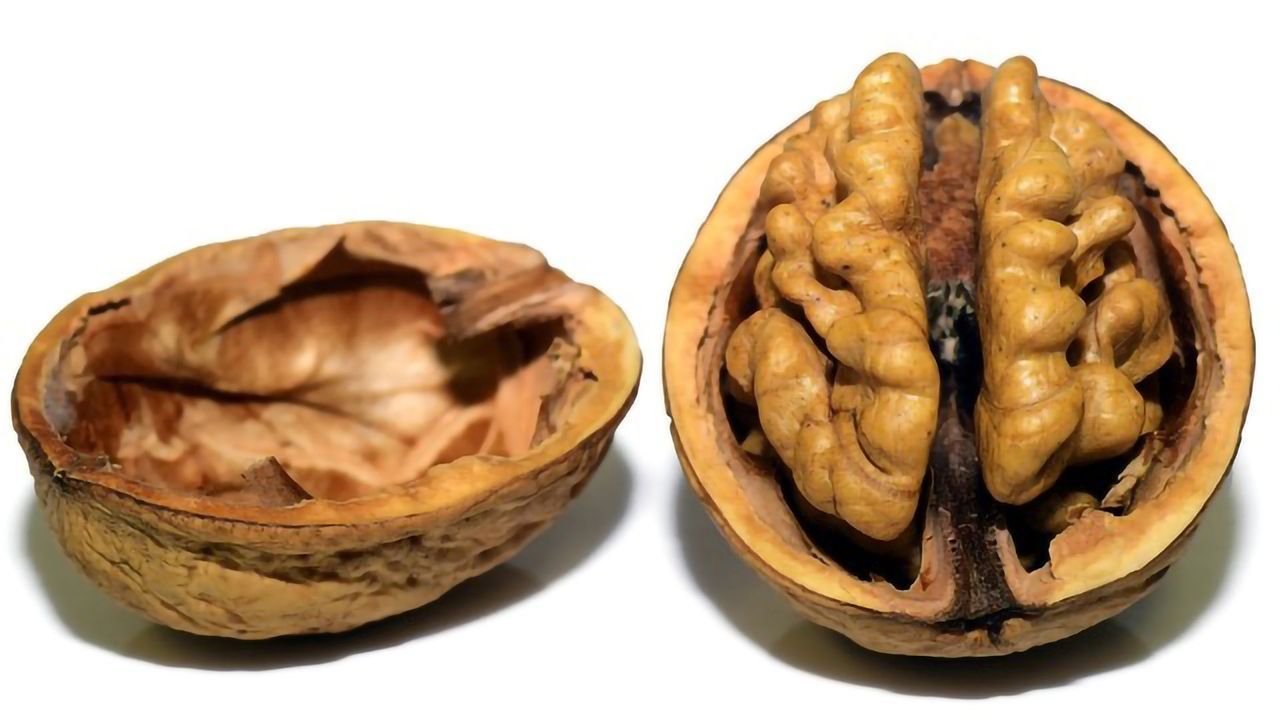 What Food You Eat Could Impact Your Brain and Memory
