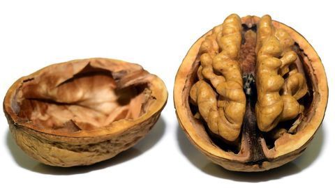 What Food You Eat Could Impact Your Brain and Memory