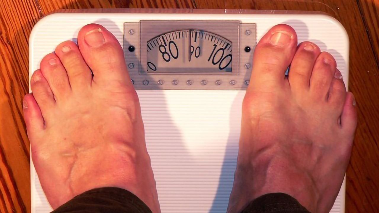 Do Chemicals Make Us Fat?
